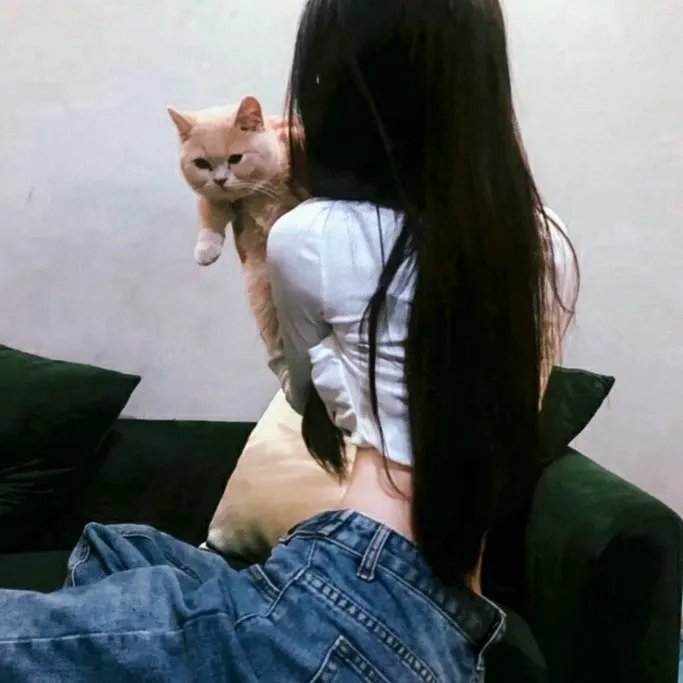 黑森林